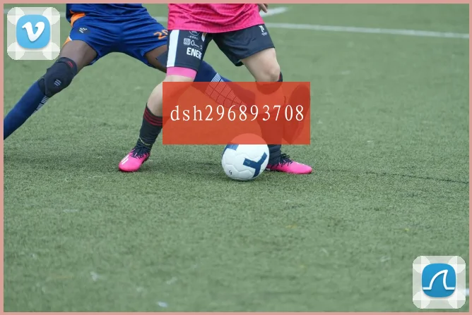 dsh296893708