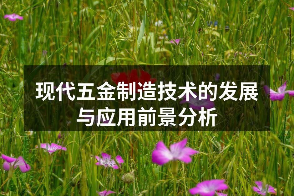 现代五金制造技术的发展与应用前景分析